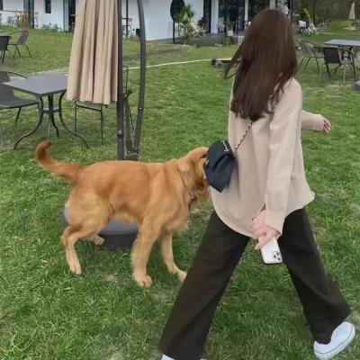 莫尔格街凶杀案